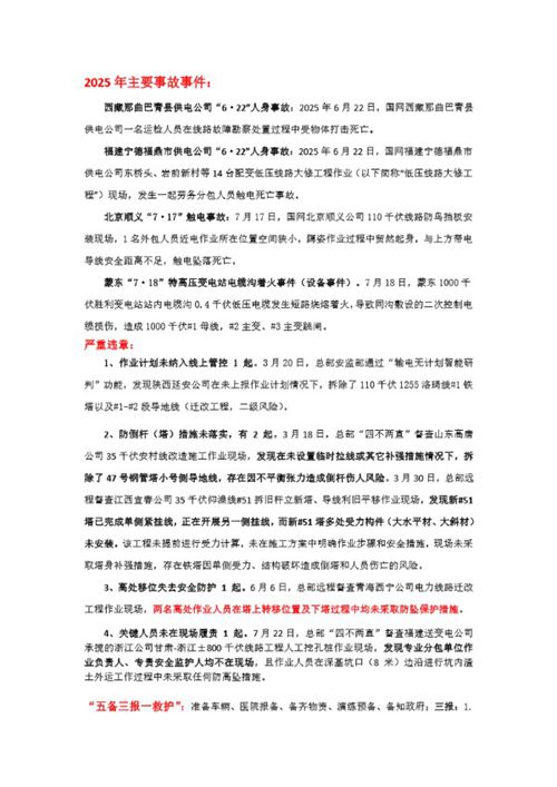 2025年事故案例 严重违章 五备三报一救护 主动式安全管理