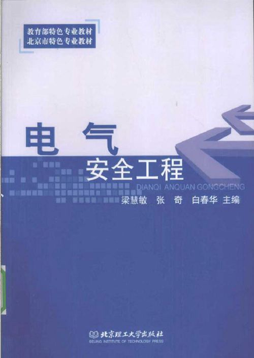 电气安全工程 (2010版)