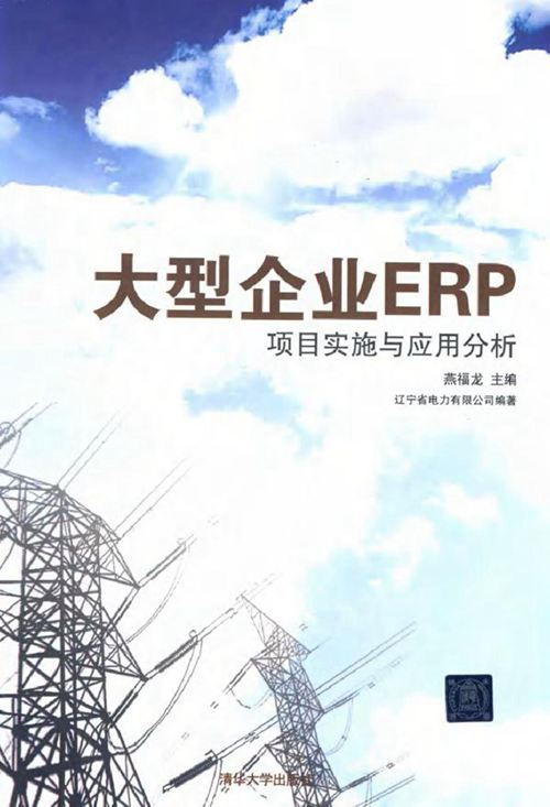 大型企业ERP项目实施与应用分析