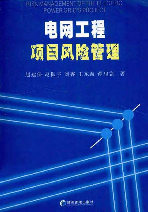 电网工程项目风险管理 (2010版)