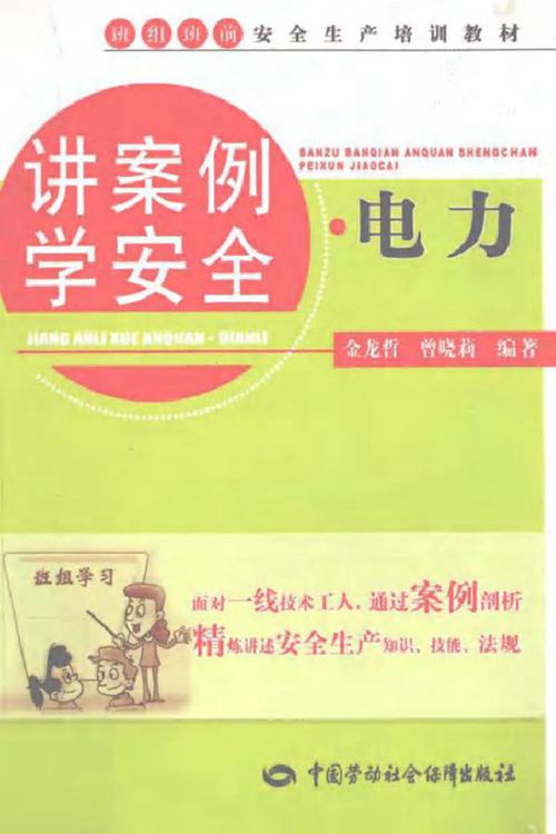 讲案例学安全·电力