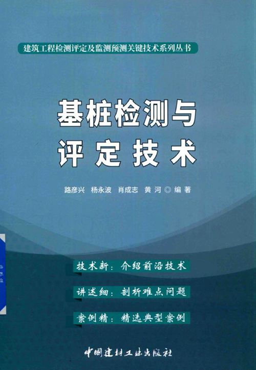 《基桩检测与评定技术》路彦兴 2020版