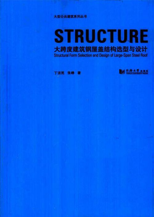 《大跨度建筑钢屋盖结构选型与设计》丁洁民、张峥