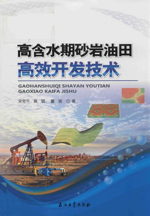 《高含水期砂岩油田高效开发技术》宋考平、黄斌、董驰