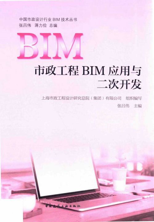 市政工程BIM应用与二次开发 张吕伟 中国市政设计行业BIM技术丛书