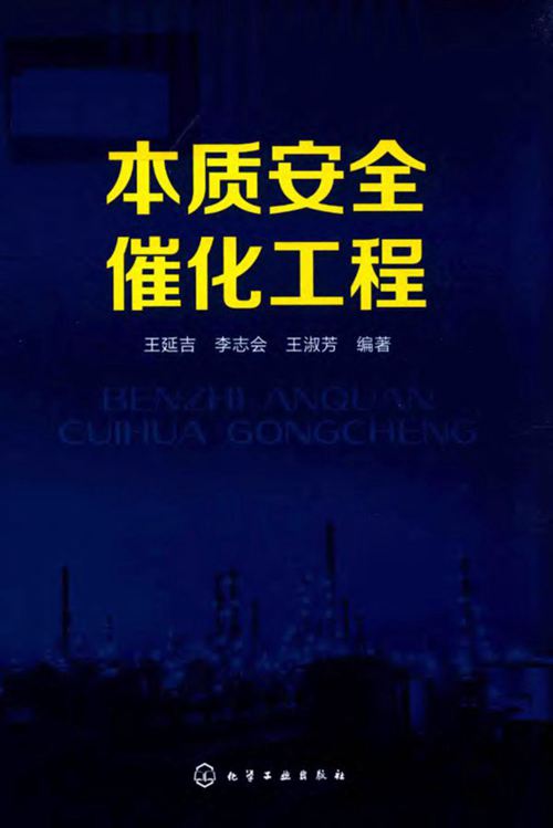《本质安全催化工程》王延吉、李志会、王淑芳