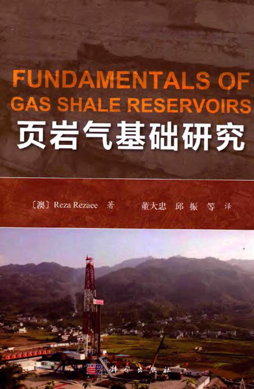 《页岩气基础研究》（澳）雷扎·雷泽