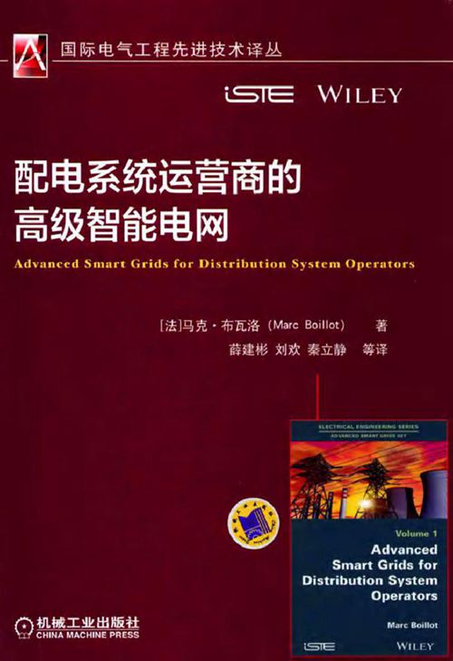 国际电气工程先进技术译丛 配电系统运营商的高级智能电网