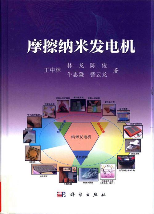 摩擦纳米发电机 (王中林 林龙 等著)