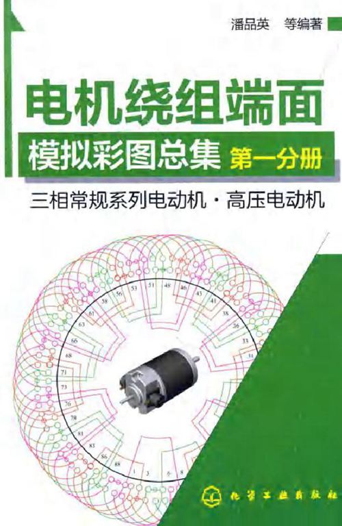 电机绕组端面模拟彩图总集 第一分册 三相常规系列电动机 高压电动机