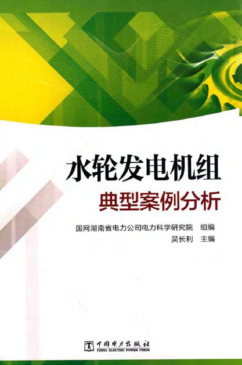 水轮发电机组典型案例分析