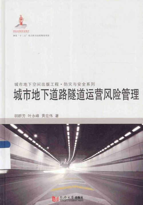 《城市地下道路隧道运营风险管理》胡群芳 叶永峰 黄宏伟 2014