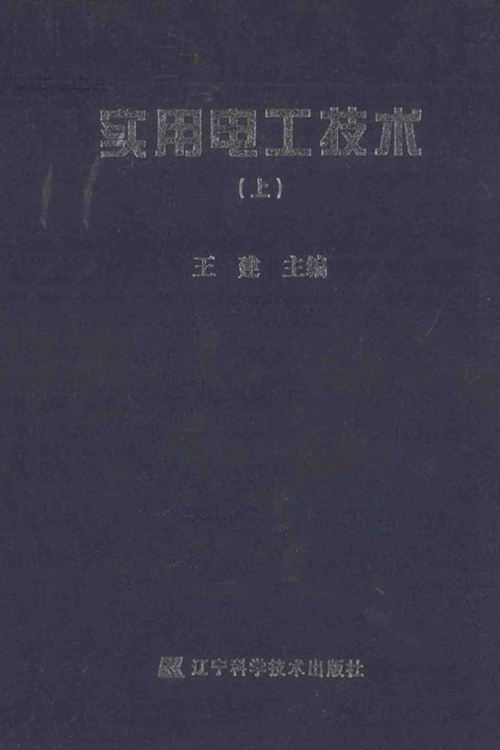 实用电工技术 上 (王建)