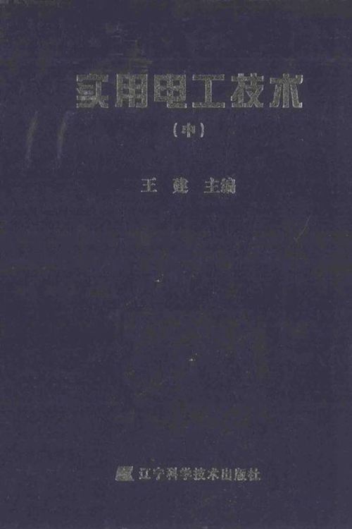 实用电工技术 中 (王建)