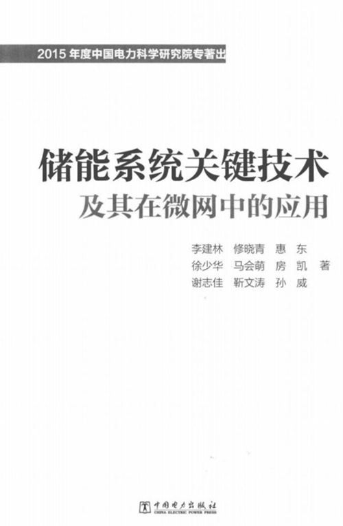 《储能系统关键技术及其在微网中的应用》李建林