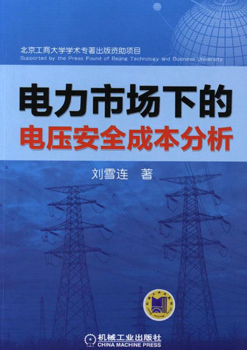 电力市场下的电压安全成本分析