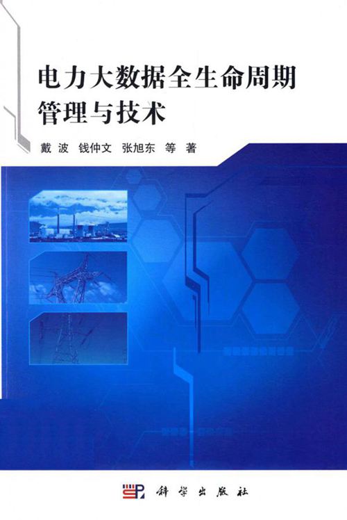 电力大数据全生命周期管理与技术 戴波等著 (2020版)