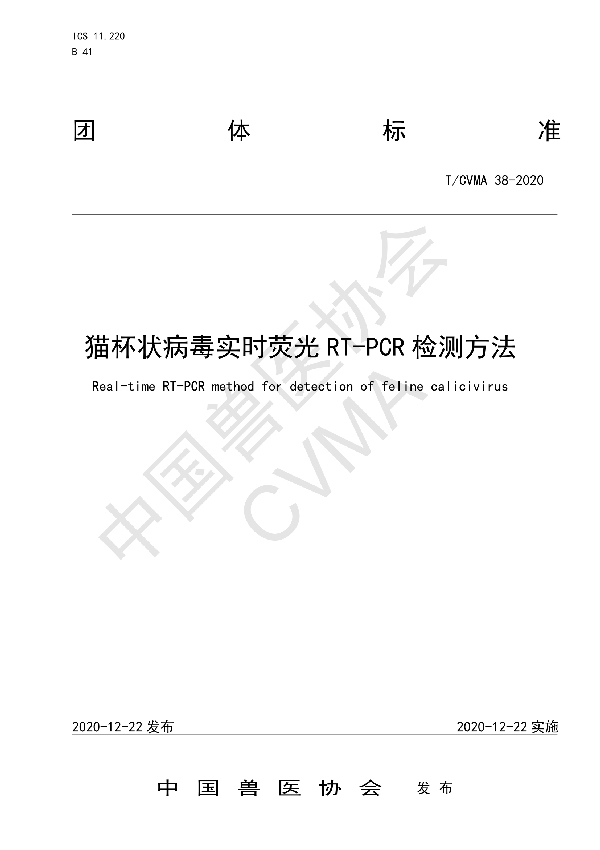 T/CVMA 38-2020 猫杯状病毒实时荧光RT-PCR检测方法