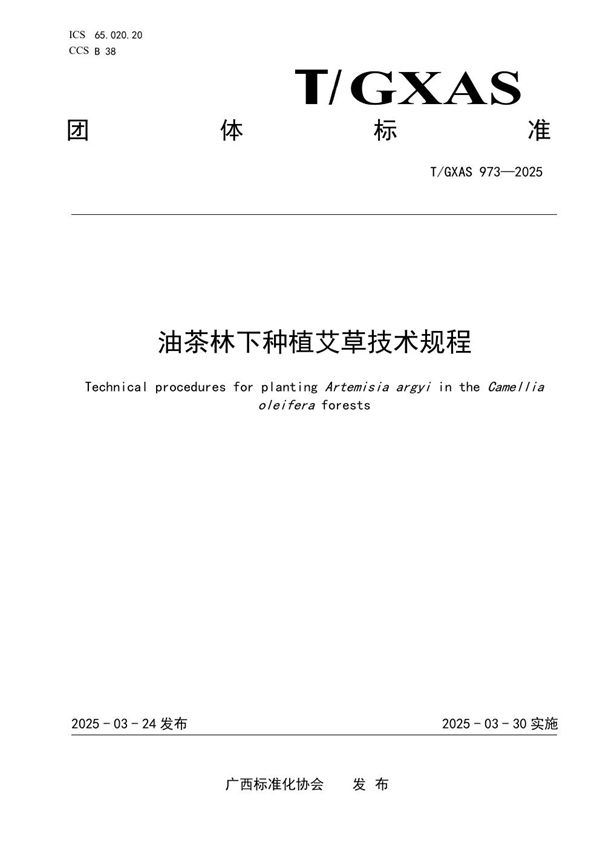 T/GXAS 973-2025 油茶林下种植艾草技术规程