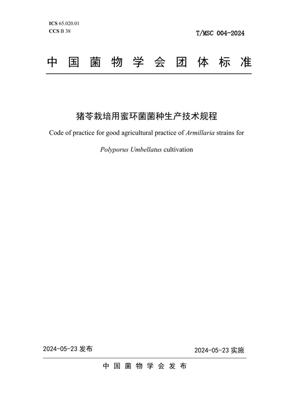 T/MSC 004-2024 猪苓栽培用蜜环菌菌种生产技术规程