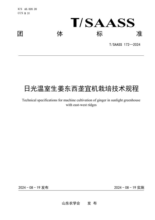T/SAASS 172-2024 日光温室生姜东西垄宜机栽培技术规程