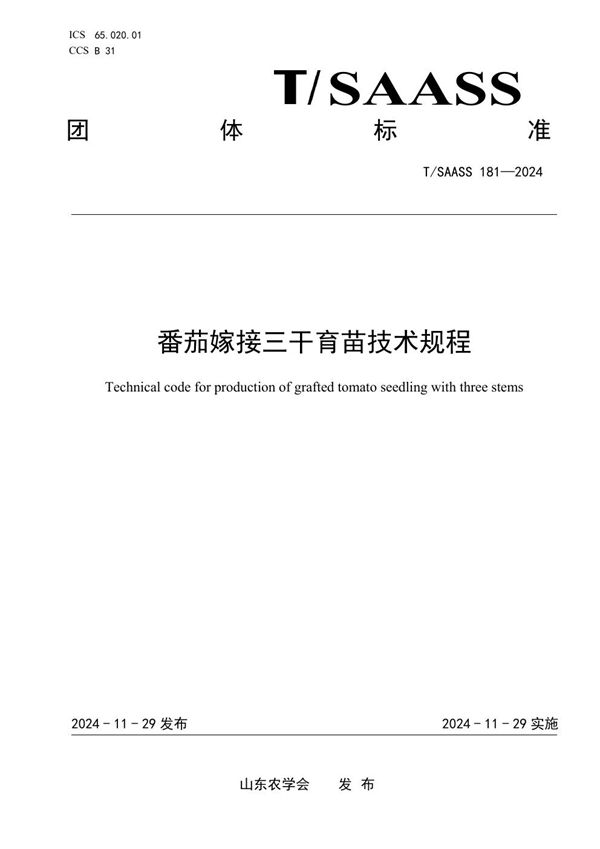T/SAASS 181-2024 番茄嫁接三干育苗技术规程
