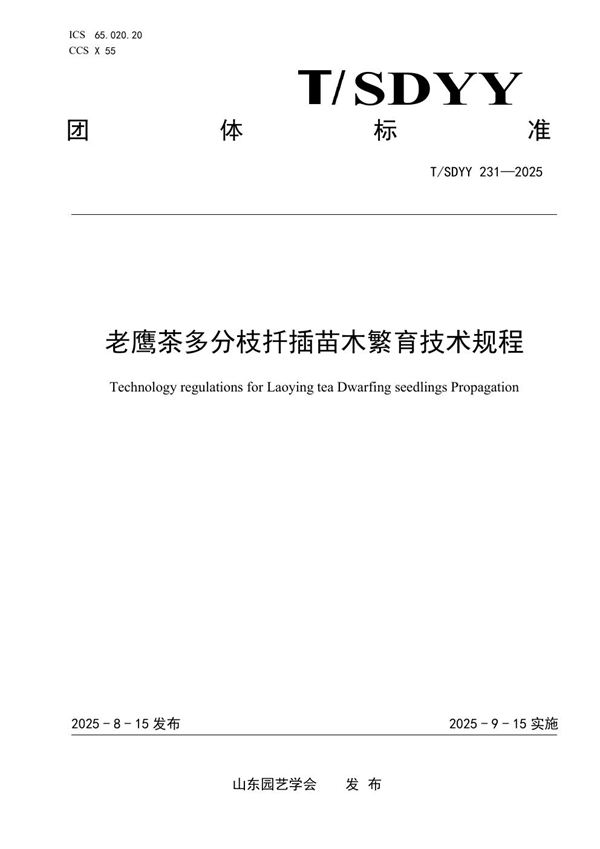 T/SDYY 231-2025 老鹰茶多分枝扦插苗木繁育技术规程