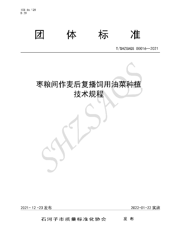 T/SHZSAQS 00016-2021 枣粮间作麦后复播饲用油菜种植技术规程