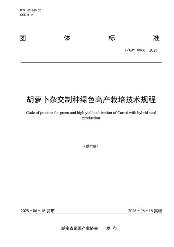 T/XJY 0066-2025 胡萝卜杂交制种绿色高产栽培技术规程