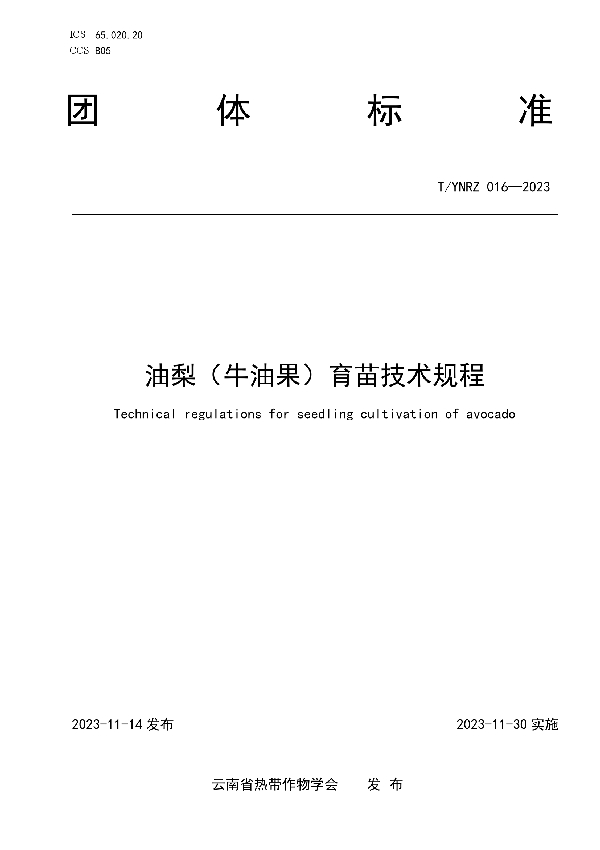 T/YNRZ 016-2023 油梨(牛油果)育苗技术规程