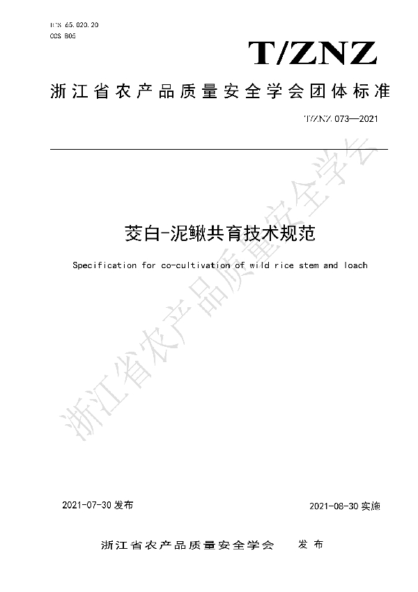 T/ZNZ 073-2021 茭白-泥鳅共育技术规范
