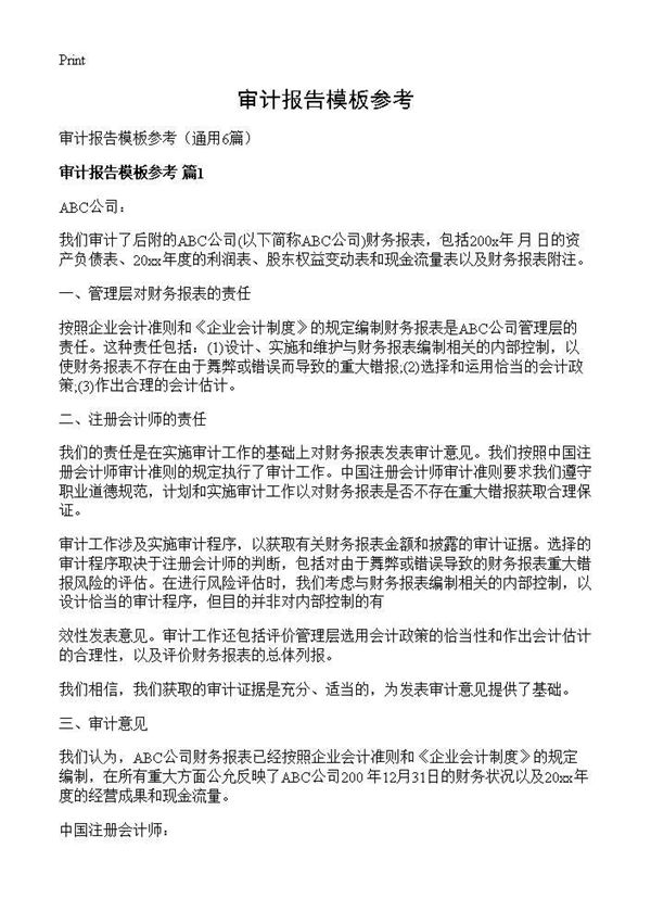 审计报告模板参考 (共11页)