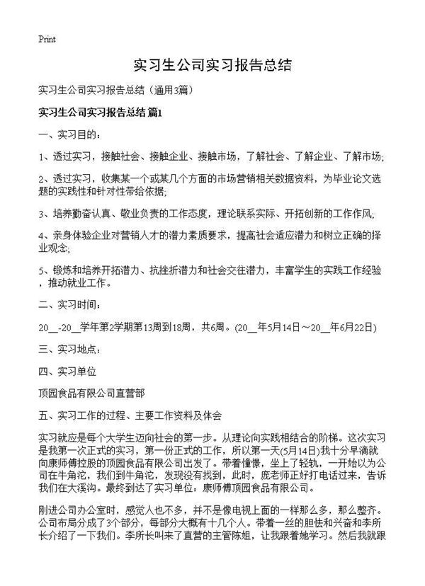 实习生公司实习报告总结 (共5页)