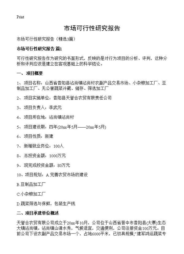 市场可行性研究报告 (共7页)