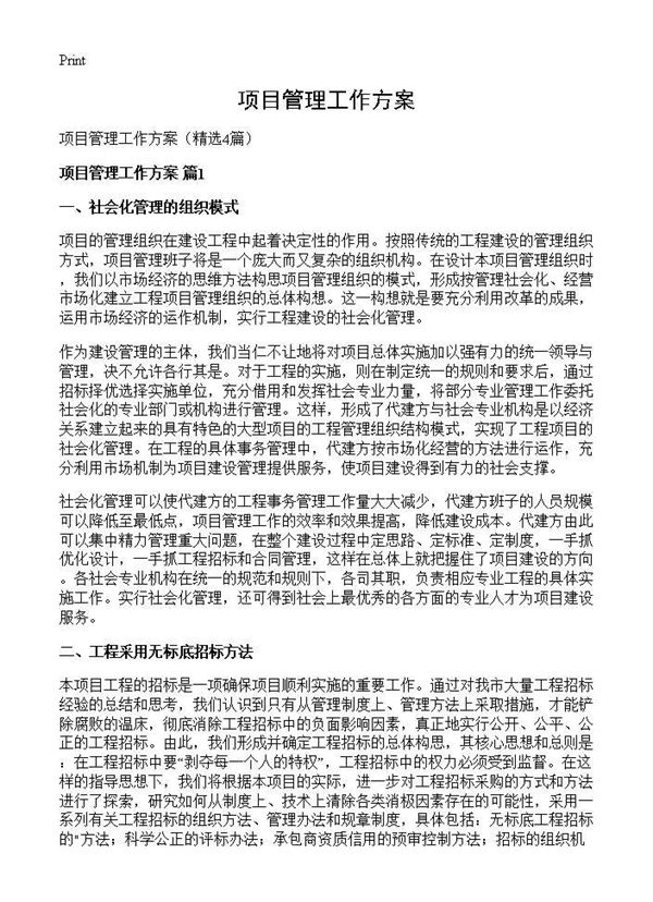 项目管理工作方案 (共9页)