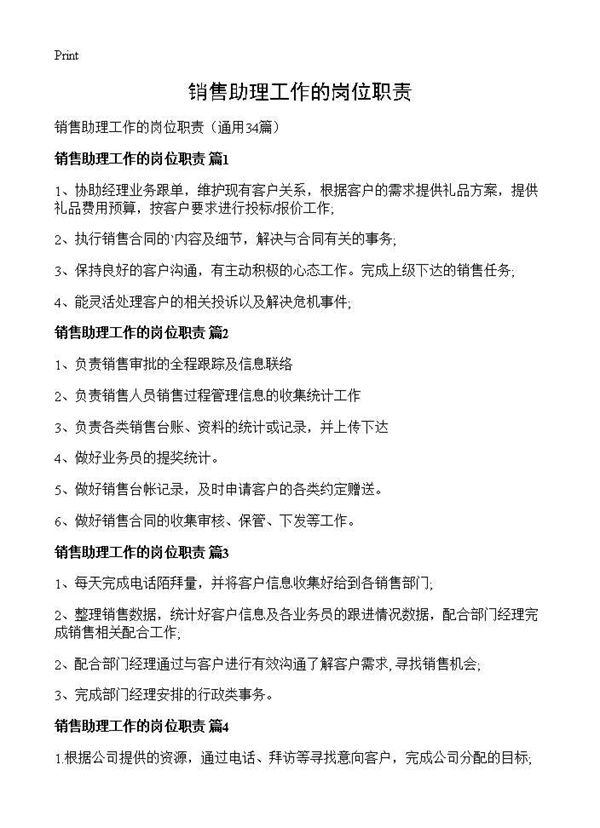 销售助理工作的岗位职责 (共13页)