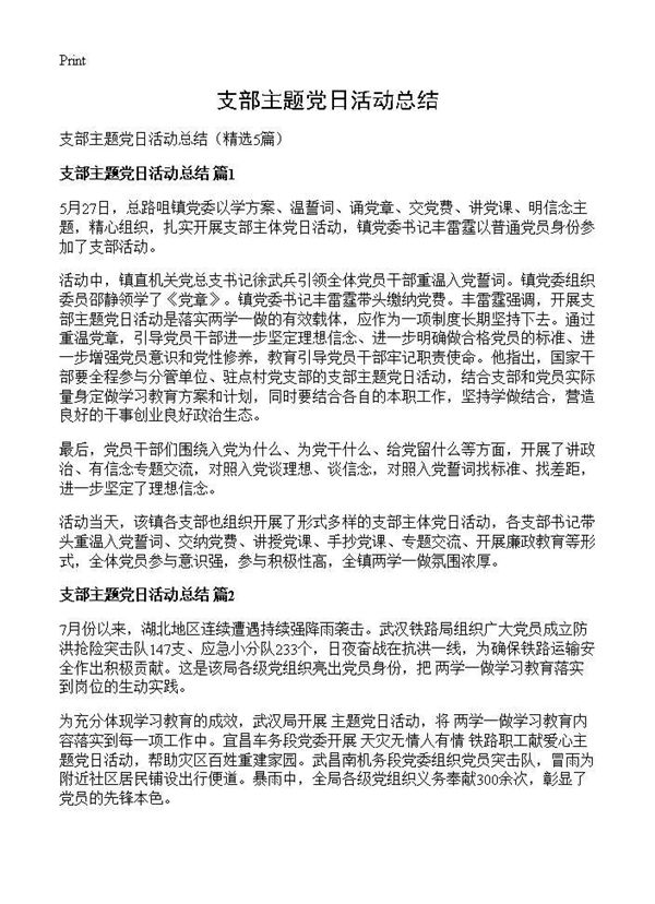 支部主题党日活动总结 (共6页)