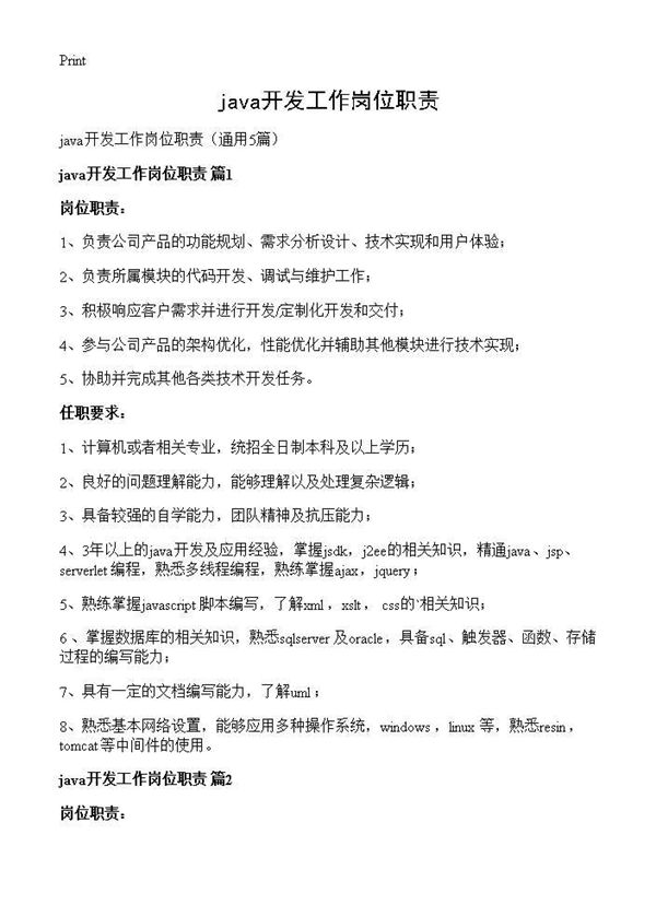 java开发工作岗位职责 (共4页)