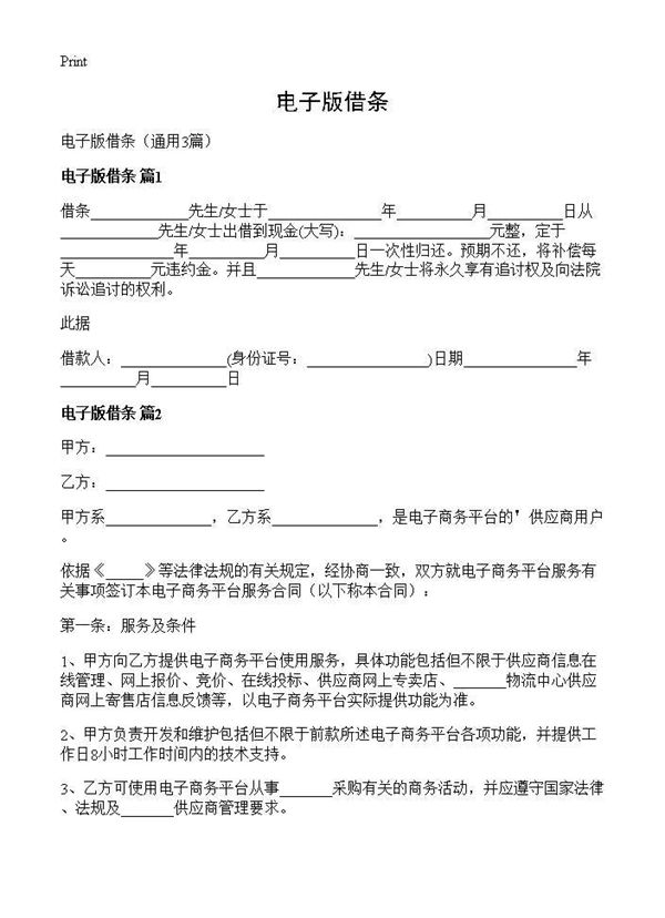 电子版借条 (共5页)