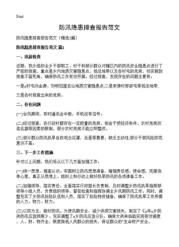 防汛隐患排查报告范文 (共3页)
