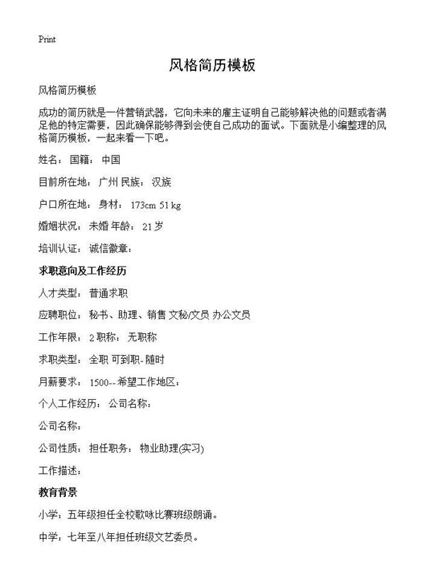 风格简历模板 (共2页)