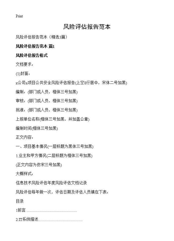 风险评估报告范本 (共6页)