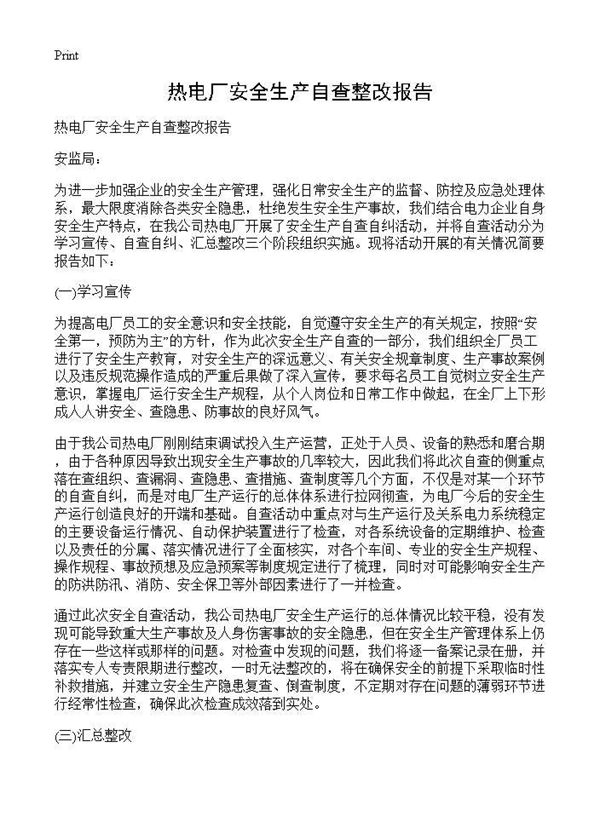 热电厂安全生产自查整改报告 (共2页)