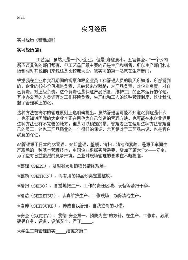 实习经历 (共4页)