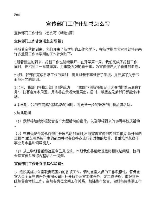 宣传部门工作计划书怎么写 (共4页)