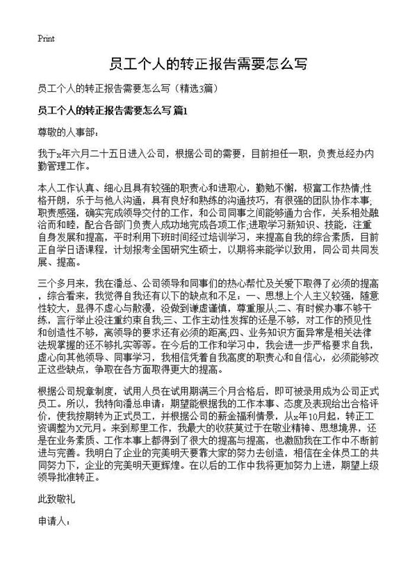 员工个人的转正报告需要怎么写 (共3页)