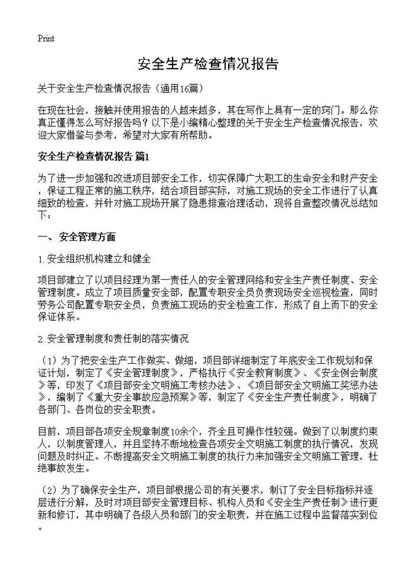 安全生产检查情况报告 (共20页)