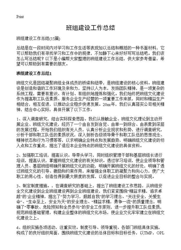 班组建设工作总结 (共19页)