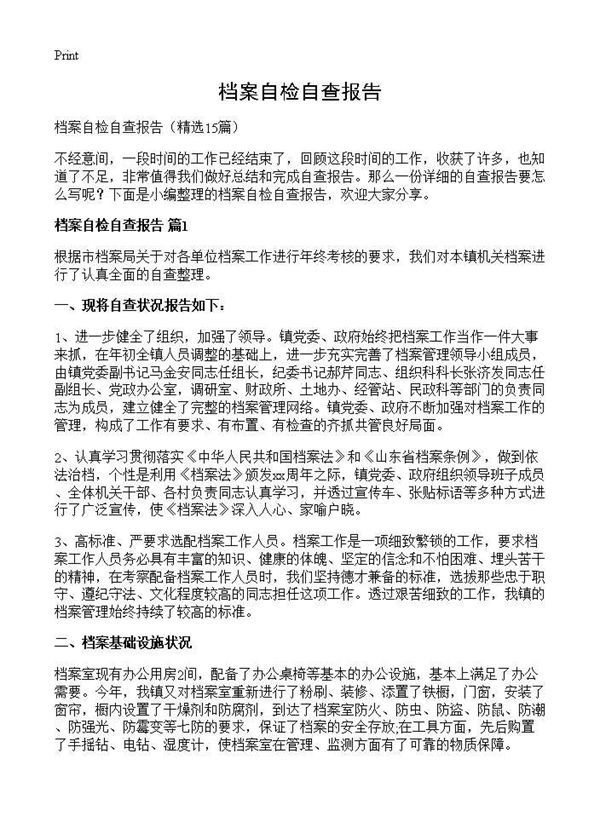 档案自检自查报告 (共19页)