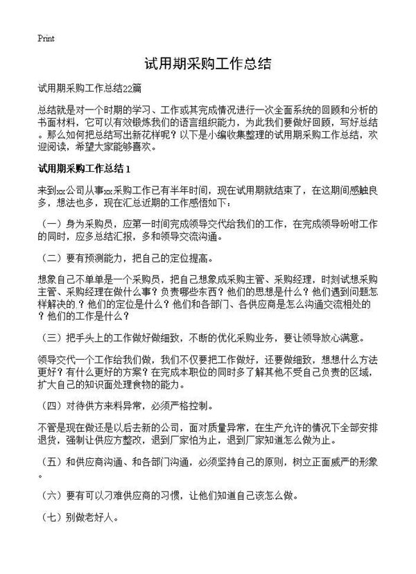 试用期采购工作总结 (共23页)